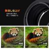 CONCEPT Mount Adapter PRO II for Nikon and Lenses to Fujifilm FX and Matte and Infinity Available Direct from the K&F NIK-FX F-Mount G-Type X-Mount