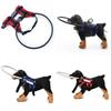 Dog Safety Preventive Ring For Blind Or Aging Dogs With Reinforced Polyester For All Seasons