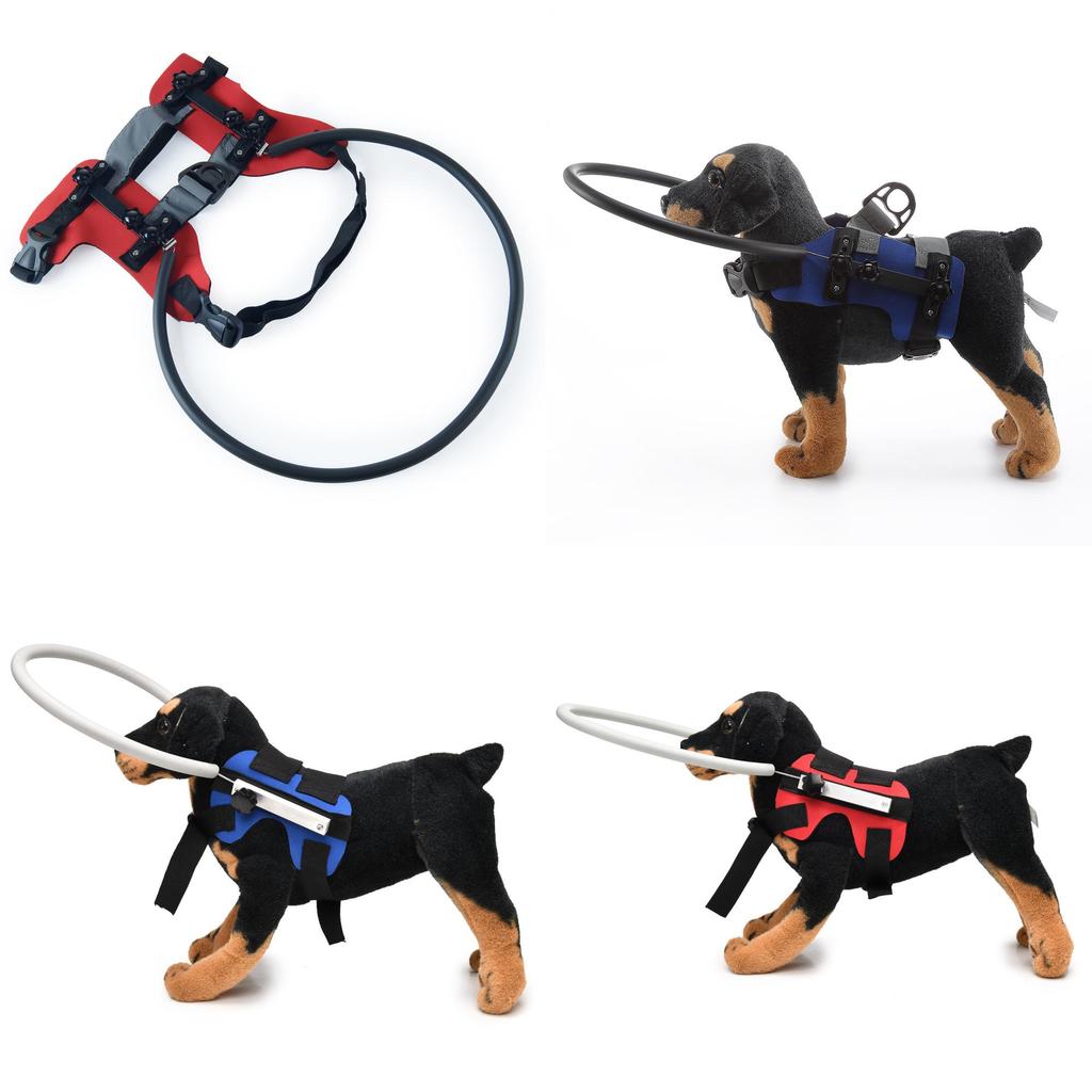Dog Safety Preventive Ring For Blind Or Aging Dogs With Reinforced Polyester For All Seasons