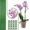 Bendable Plant Support Bracket 22Pcs Plastic Metal Garden Stakes With Secure Clamps For Indoor Outdoor Gardening Use