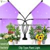 USB Timed LED Clip Grow Light for Succulents, Flowers, and Fruits