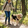 Thickened Grip Dog Lift Harness Adjustable Pet Auxiliary Vest Dog Assistance Strap  Disability Aid