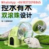 Ultra-Quiet 4-in-1 Hamster Running Wheel with Ball Roller Feeding Avoidance Landscape Toy for Golden Bear Cage Supplies