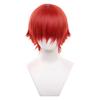 RyuuCos Full Short Straight for Men and School Cultural 01 All-Purpose Wig, Wig, Red, Heat-Resistant, Women, Cosplay, Disguise, Costume, Gift, Event,
