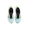 Nike Zoom Fly 5 Glacier Blue Женские кроссовки Vapor-Green Black DM8974-401