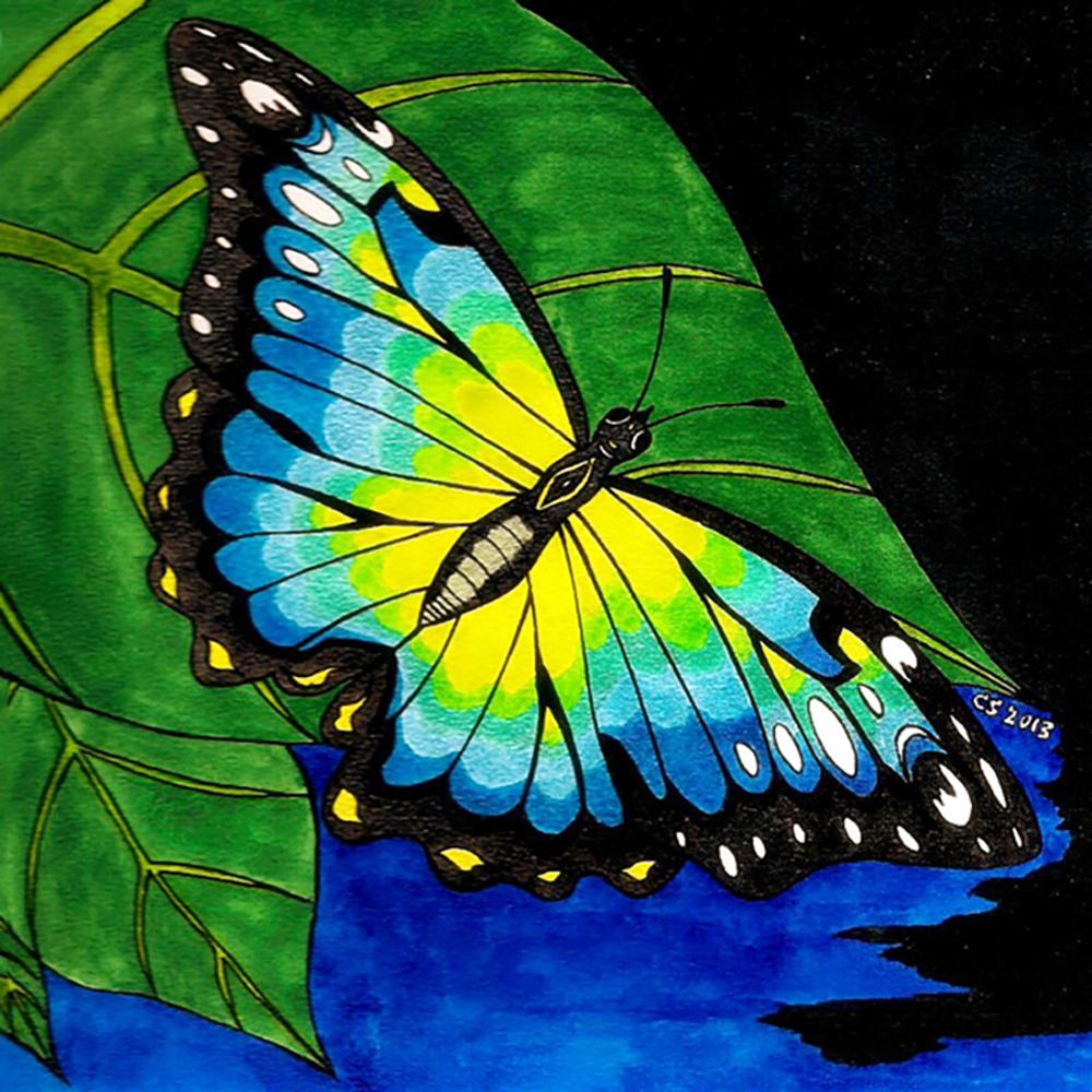 Diy 5D алмазная живопись Бабочка Цветок Алмазная вышивка набор крестиков мозаичная картина украшение дома подарок на Новый год