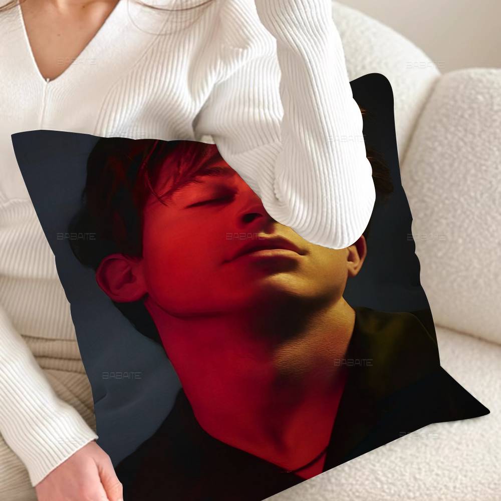 CCharlie Puth Premium Self Adhesive Cushion Cover Polyester Sofa Cushions Decorative Throw Pillows Home Decoration Pillowcover