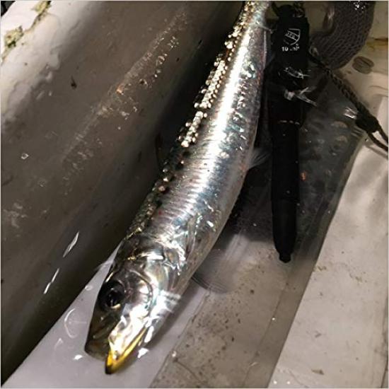 Shimano Ocea Special Order Hiramasa 220F 008 Kyorin Orange Lure OT-022L