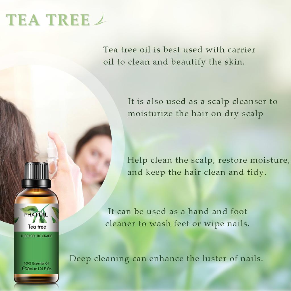 PHATOIL 3 шт. Набор эфирных масел Подарочная коробка Эвкалипт Чайное дерево Эфирное масло розмарина Ароматерапия для свежего воздуха Диффузор Стерилизация Облегчение тела