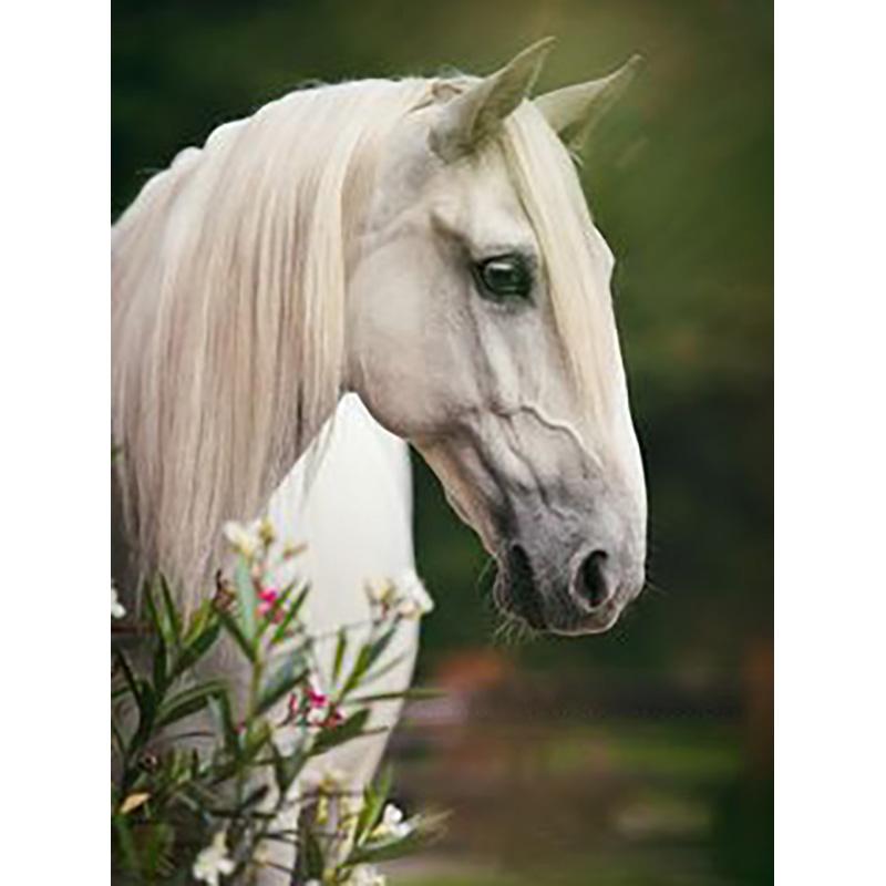 DIY Лошадь 5d алмазная живопись полная круглая дрель горный хрусталь животное Алмазная вышивка наборы крестиков настенное искусство домашний декор подарок