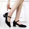 Women's Spring & Autumn Black Professional Pointed-Toe Thick Heel Work Shoes