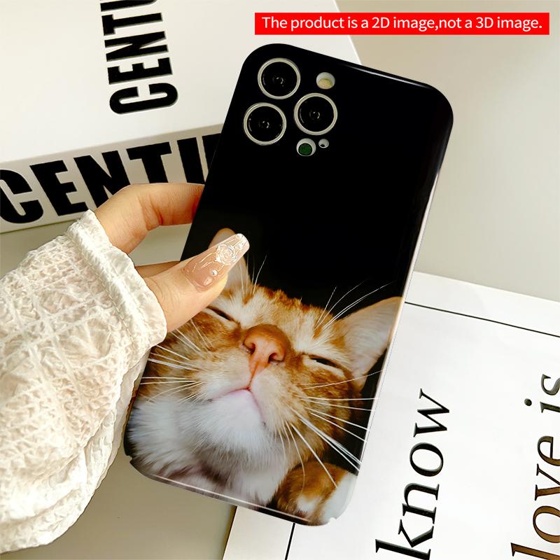 2DFlat Orange Tabby Cat Close-Up Phone Case All inclusive film hard iPhone case, compatible with iPhone 18 Pro Max 17 16 15 14 13 12 11
