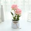 1 Набор Имитация Цветка Износостойкий Пластик Вечный Искусственный Цветочный Горшок