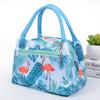New Fashion Zipper Handheld Insulated Bag Women's Cartoon Waterproof Lunch Bag with Aluminum Foil Insulation