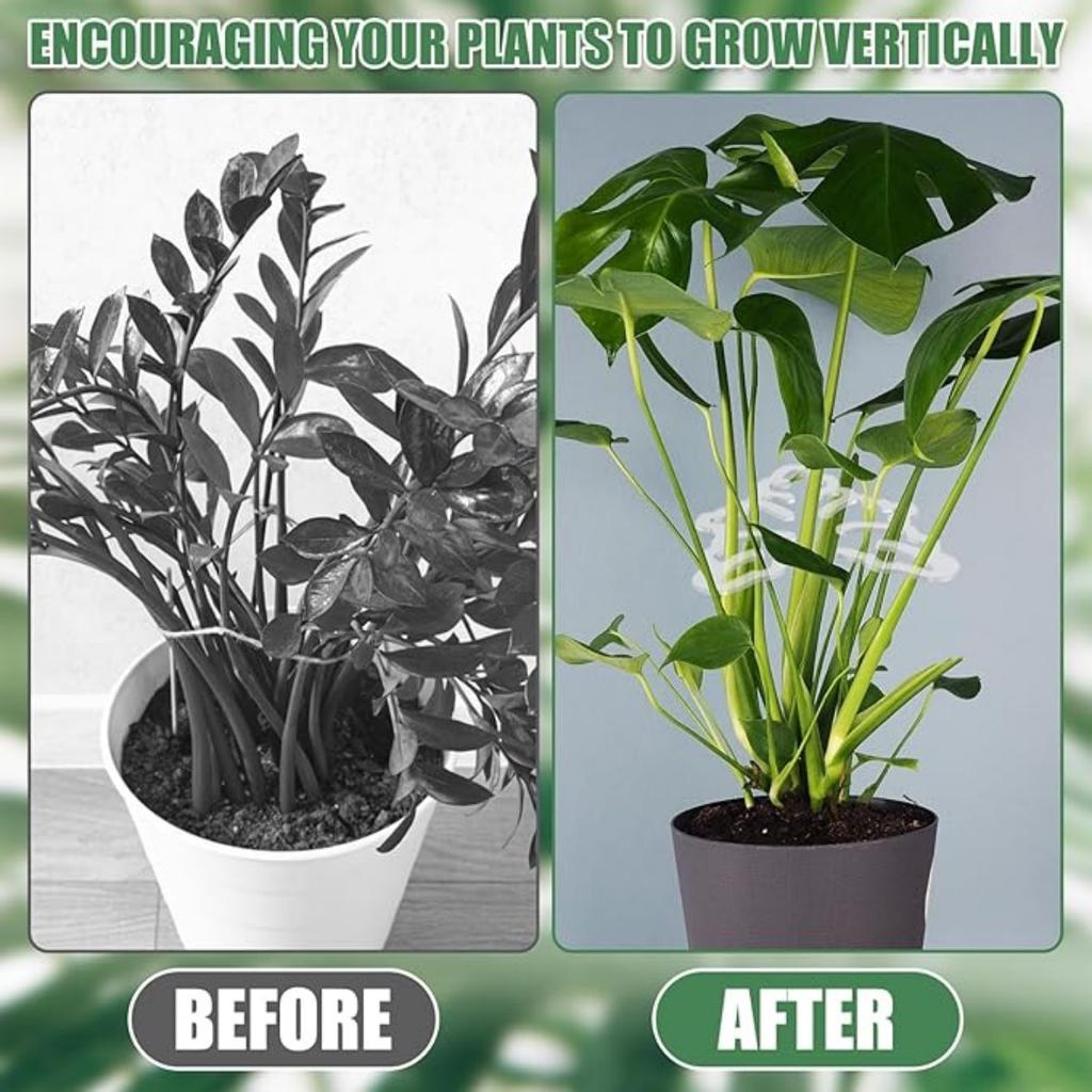 Plant Support Stakes Monstera Shaped Plant Stand, Acrylic Flower Shape Plant Growth Accessories for Indoor Outdoor Plants