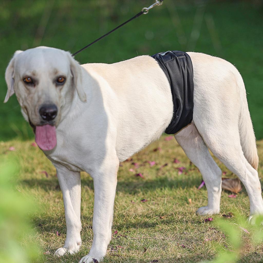 Washable Wrap Diapers for Male Dogs Reusable Male Dog Belly Band Breathable Male Dog Wraps, Pack of