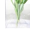 Clear Book Vase Water Planting Flowers Hydroponic Plants Vase Aesthetic Living Room Bedroom Home Office Decoration Book Lovers Gifts