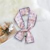 Pingjiao New Style Spring And Autumn Professional Decoration Versatile Small Silk Scarf Women'S Scarf Narrow Long Hair Strap Tie Bag Belt