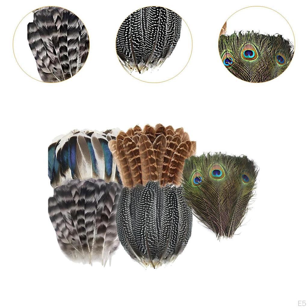 Crafts Feathers Artificial Feather Decorative Art Supplies Ornament Colorful Handicraft