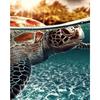 100% Full 5D Diy Daimond Painting Cross-stitch Turtle Diamond Embroidery Animals