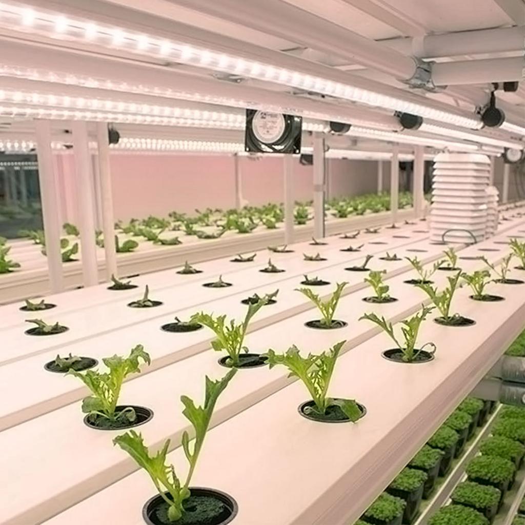 LED Plant Grow Light Strips for Indoor Plants Red & 3000K Sunlike Grow Lamp for Hydroponics