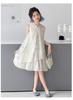 Girls' Summer Dress - Chinese Style Cheongsam Princess Skirt