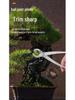 Bonsai Shaping Tools: Round & Oblique Mouth Shears, Ball Joint Pliers, Gardening Flower Pruners, Tree Burl Pruners.