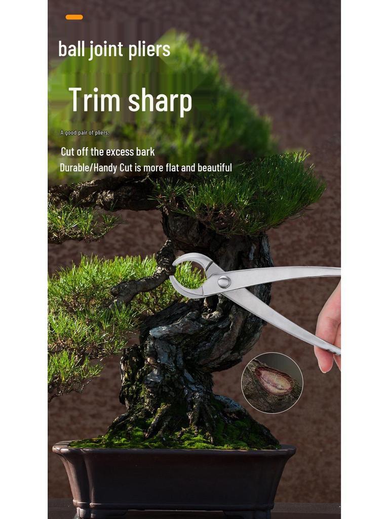 Bonsai Shaping Tools: Round & Oblique Mouth Shears, Ball Joint Pliers, Gardening Flower Pruners, Tree Burl Pruners.