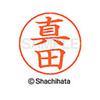Shachihata Replacement Name Stamp Head for Name Pen Sanada 9mm Vermilion Ink Block Style Font X-GPS