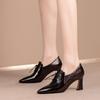 Fashion High Heels Hoof Pumps Women Lace Up Pumps PU Leather Shoes Female Fashion Pointed Toe OL Shoes Women Autumn Black Talon Femme