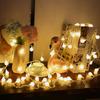 LED Ball String Lights 1M 3M 6M Fairy Garland Warm White For Indoor New Year Christmas Wedding Holiday Party Decoration Etc