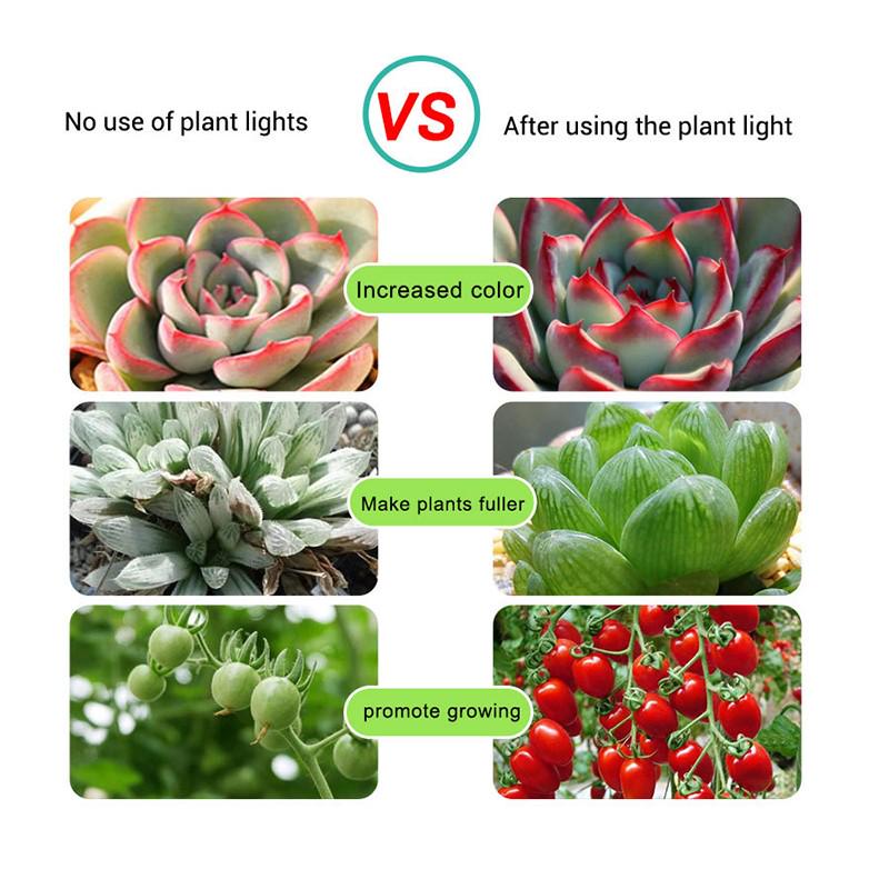 2022 USB лампа для выращивания капель резинового листа гидропонная светодиодная лента полного спектра для комнатных растений в теплице