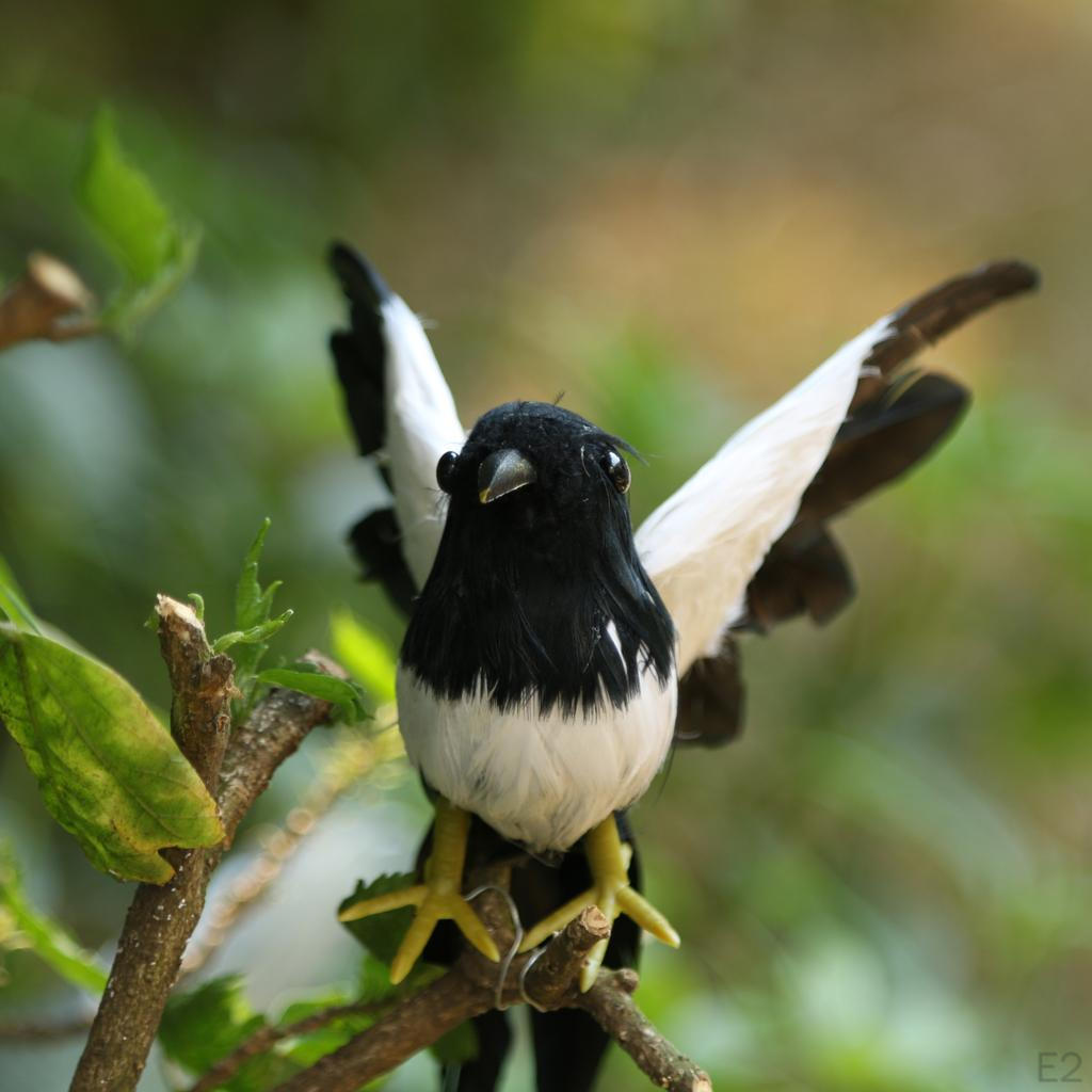 Оперенная Воробьиная Домашняя Садовая Орнаментация