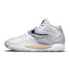 Nike KD 14 EP Home Кроссовки унисекс Белый Волк-Серый Оттенок Дыни CZ0170-100