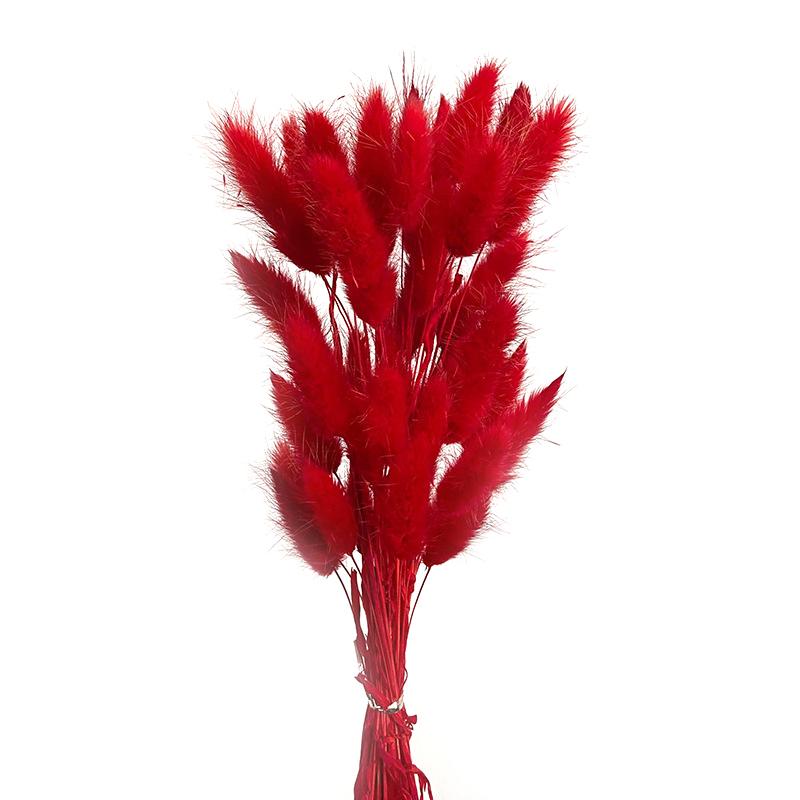 50 шт., букет из сухоцветов с изображением кролика и хвоста кролика, декор для свадебной вечеринки, пушистые пампасы, рождественская цветочная композиция своими руками