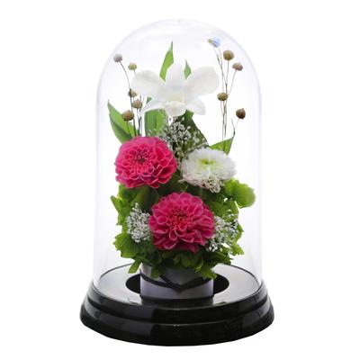 Искусство для сезонов Сохраненные цветы (розовый)