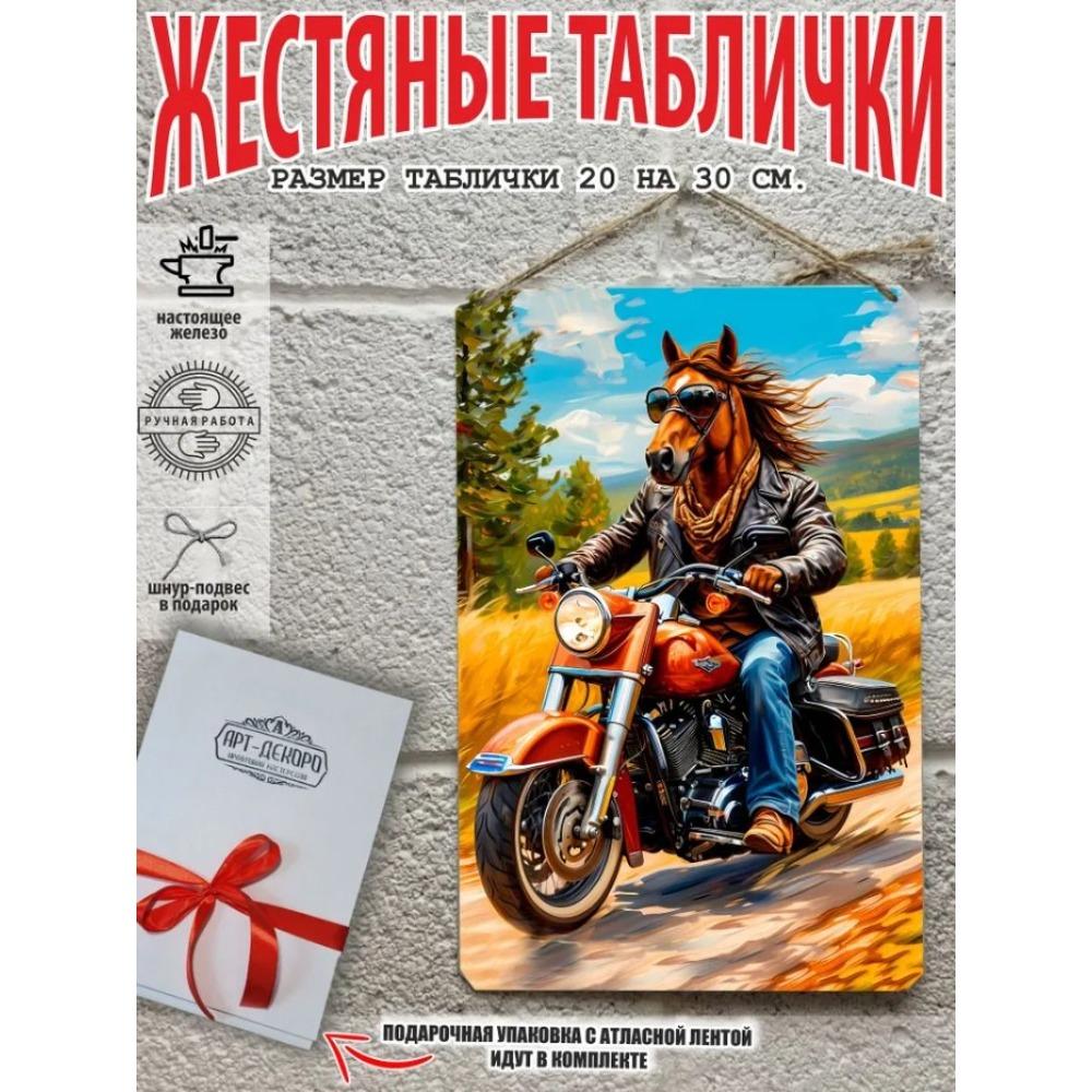 Винтажная металлическая табличка Лошадь Настенное искусство Декор Интерьер Постер