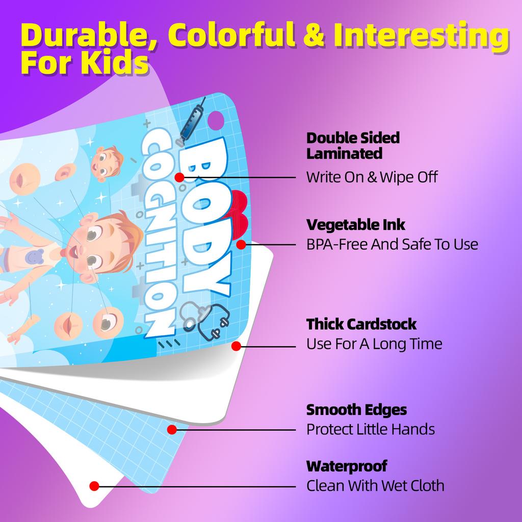 36 Карточек для познания тела Детское просвещение Образовательные познавательные карточки Обучающие карточки