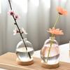 Creative New Bubble Vase Hydroponic Glass Vase Transparent Pink Flower Arrangement Table Decoration Aromatherapy Bottle Ornament