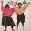 LP Record WEATHER GIRLS - Big Girls Don't Cry FC39980 Columbia 1985 Canada Soul/Funk Used