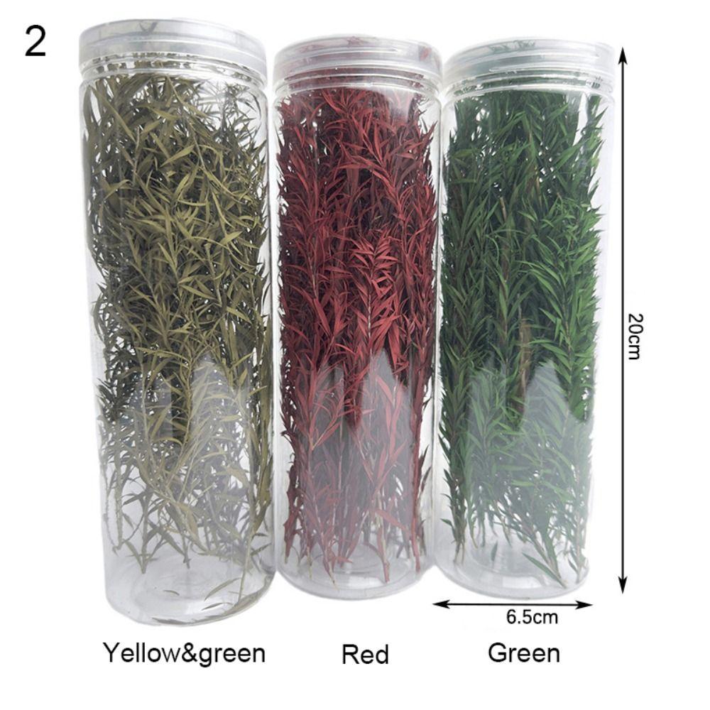 Сделай сам Длинный Лист Трава Кластер Многоцветный Песок Стол Растительность Подарок Миниатюрная Тростниковая Форма