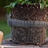 Practical Large Capacity Planter Mesh Bag Reliable Dense Holes Stainless Steel Root Protector for Garden