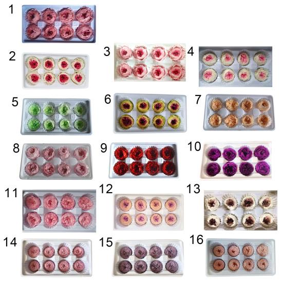 Нежные бессмертные цветы, действительно выглядящие, элегантные, экологически чистые