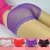 Women Summer Panties See Through Sheer Lace Knickers Mesh Solid Sexy Breathable