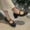 French High-end Thick Heel Square Head Woolen Single Shoes Female Grandma Shoes Autumn and Winter Velvet Middle Heel Mary Jane Fluffy Shoes