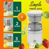 Extractor Fully Automatic Fruit Household Juicer Portable Juice Machine Residue Separation Bidirectional Spiral Fruit Juicer Cup
