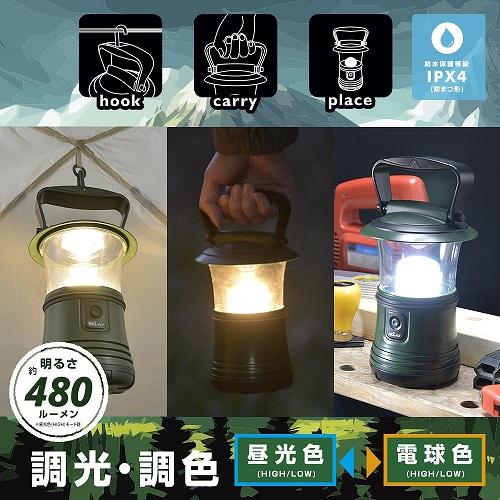 Ohm Electric Ln 50c7 G [светодиодный фонарь затемнение тонирование цвет Eclat 480lm Ipx4]