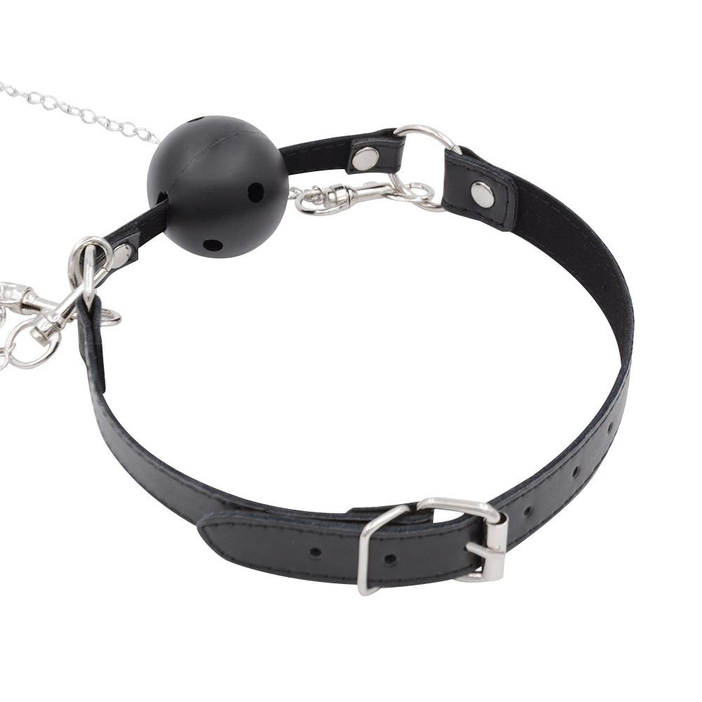 SM Ball Gag Yin Nipple Clamp Clamp Clip Clamp ...