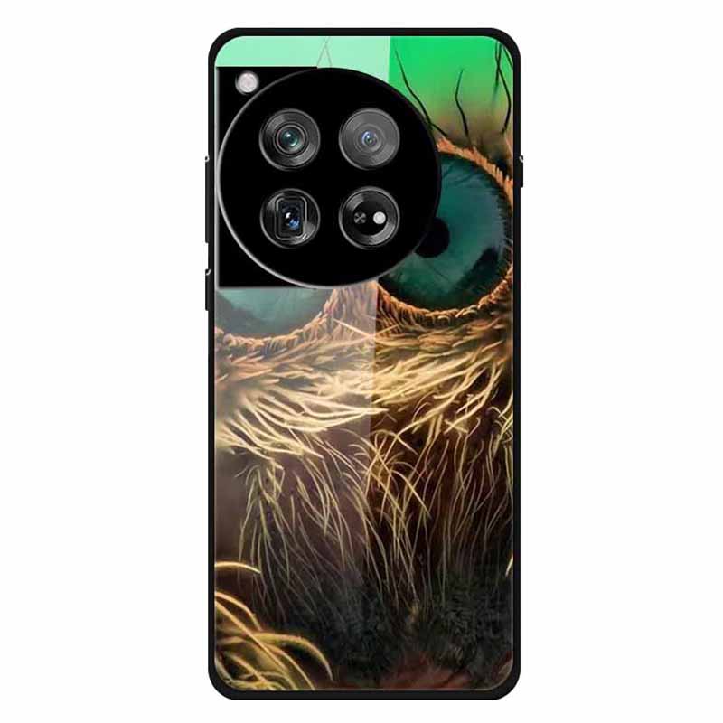 For OnePlus 12 5G Phone Case Pattern Printing Tempered Glass Shockproof Cover