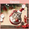 Car Decor Acrylic Cat Cartoon Style For Christmas Festive Auto Interior Ornament